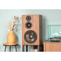 Revival Audio Atalante 5