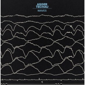 Asger Techau: Waves