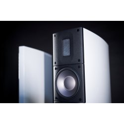 Raidho Acoustics  X2T