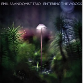 Emil Brandqvist Trio: Entering the Woods