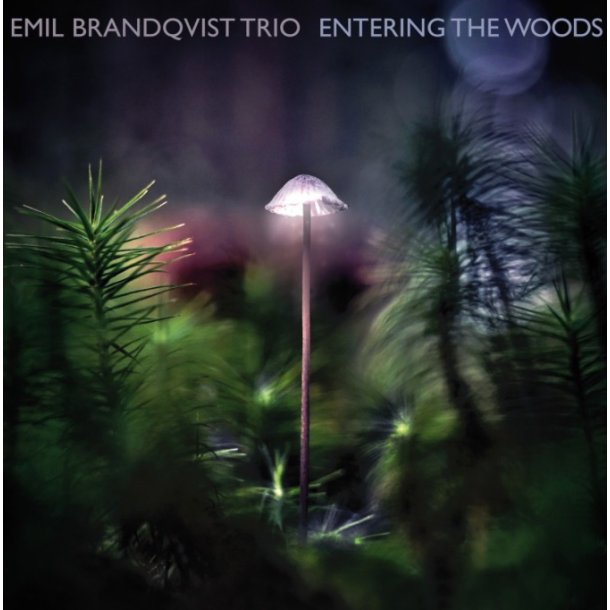 Emil Brandqvist Trio: Entering the Woods