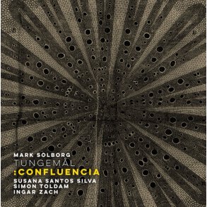 Mark Solborg: Tungem�l:Confluencia