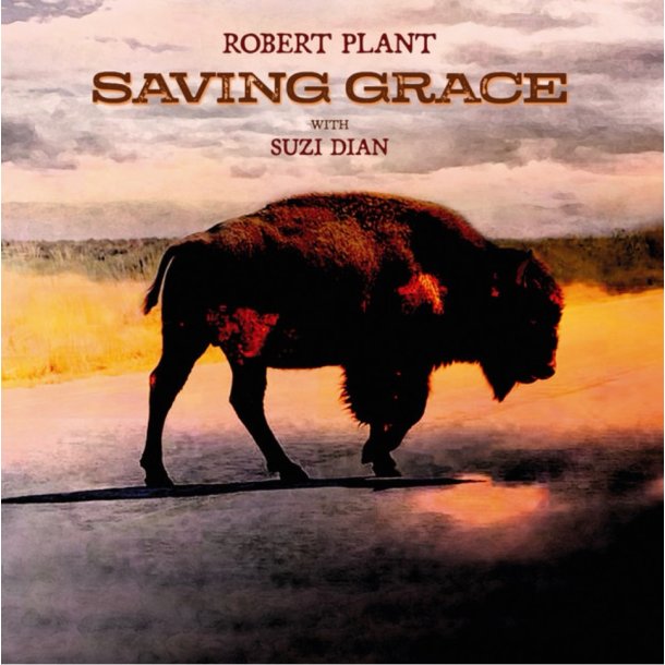 Robert Plant: Saving Grace