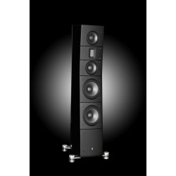 Raidho Acoustics TD 3.8