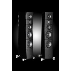 Raidho Acoustics TD 3.8