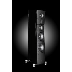 Raidho Acoustics TD 3.8