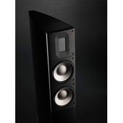 Raidho Acoustics  X2T