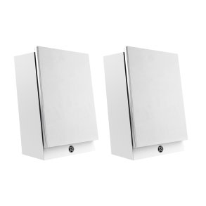 System Audio: Silverback 1