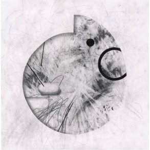 Ammonities: I See Letters in the Sky