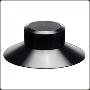 Brinkmann Record clamp