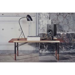 Dynaudio: Xeo 10