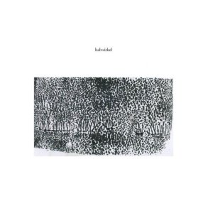 Halvcirkel: Halvcirkel