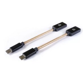 ifi USB C
