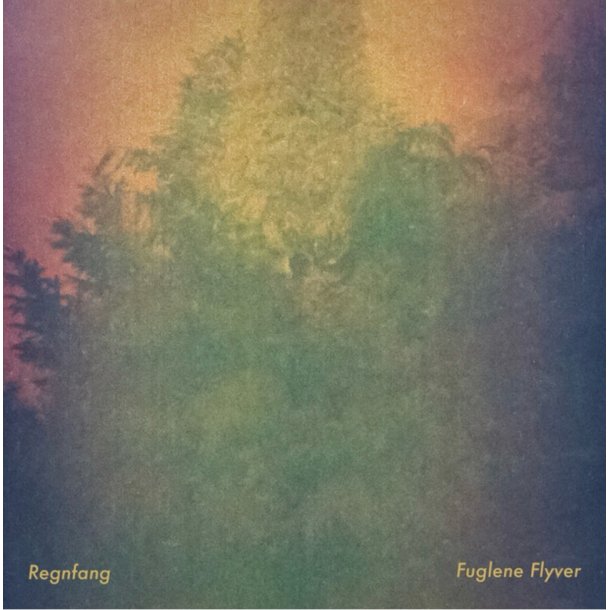 Regnfang: Fuglene Flyver