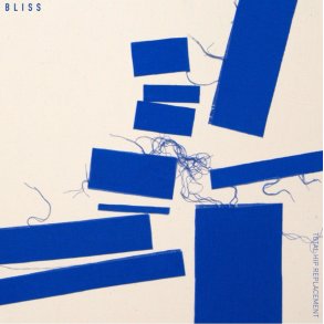 Total Hip Replacement: Bliss