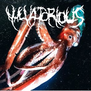 Vulvatorius: Vulvatorius