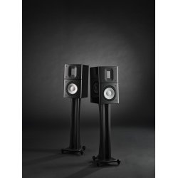  Raidho Acoustics  X1.6