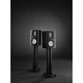  Raidho Acoustics  X1.6