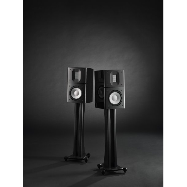  Raidho Acoustics  X1.6