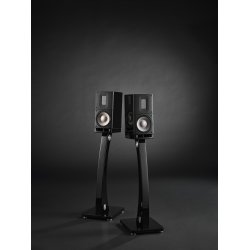  Raidho Acoustics X1t