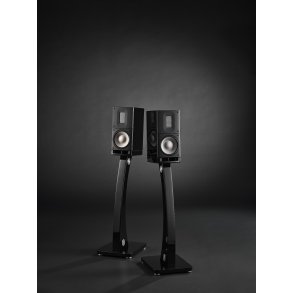  Raidho Acoustics X1t