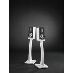  Raidho Acoustics X1t